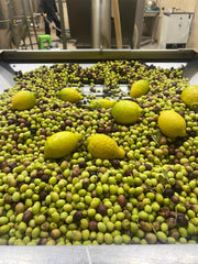 BYRSA Lemon infused Ultra Polyphenols-Rich Olive Oil 250ML