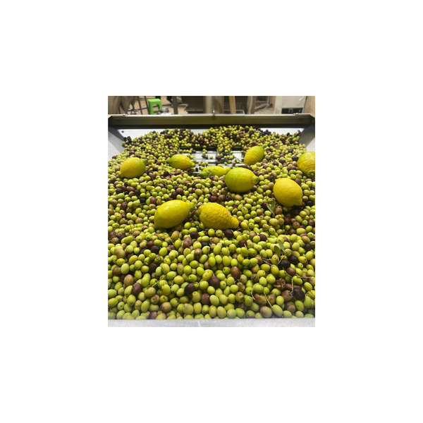 BYRSA Organic Lemon & Thyme Ultra High Polyphenols Organic Extra