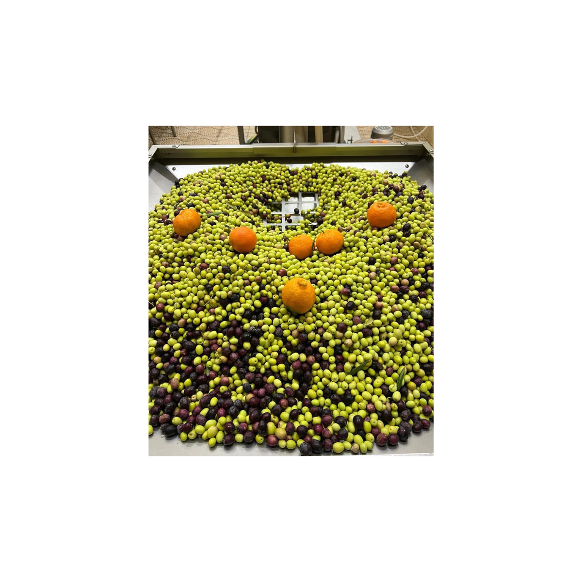 BYRSA Mandarin infused Ultra Polyphenols-Rich Olive Oil 250ML